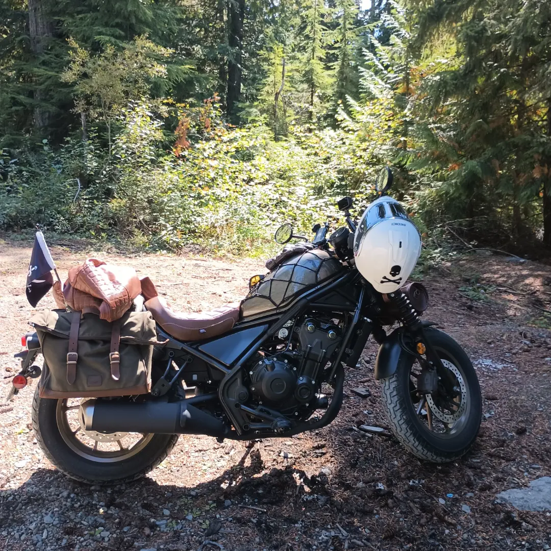 Rebel parked in the woods