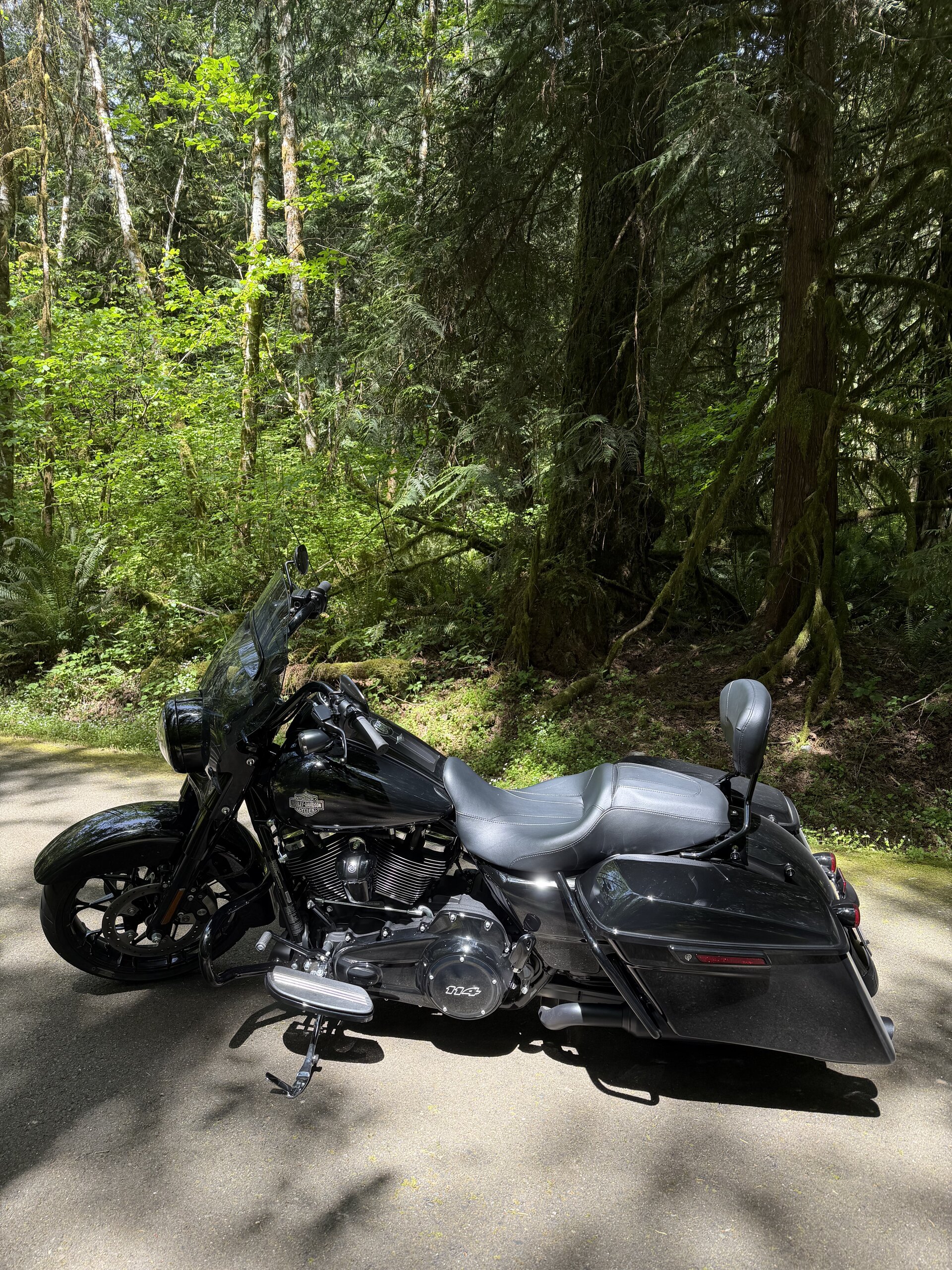 Road King adventure photo