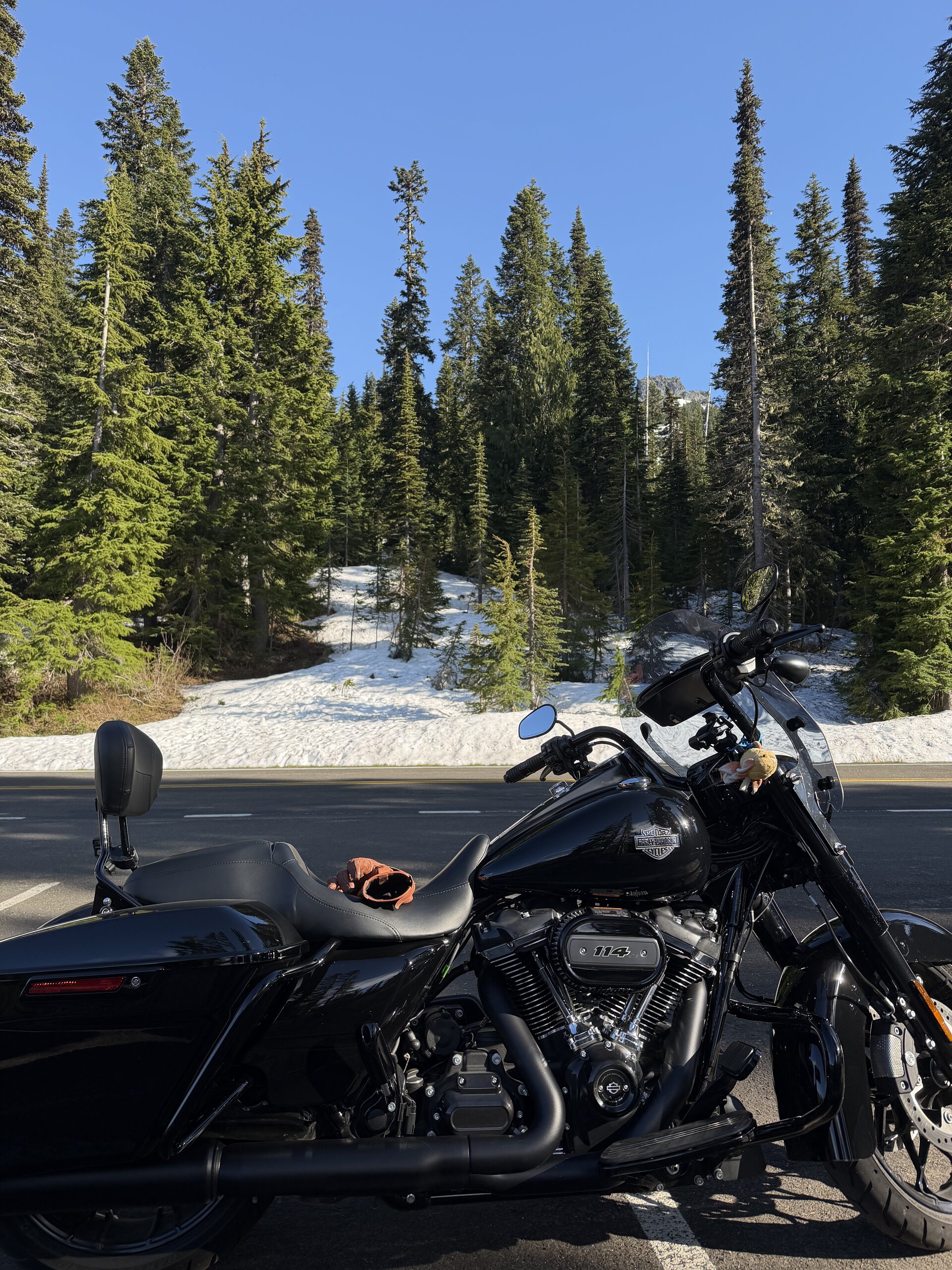 Road King adventure photo