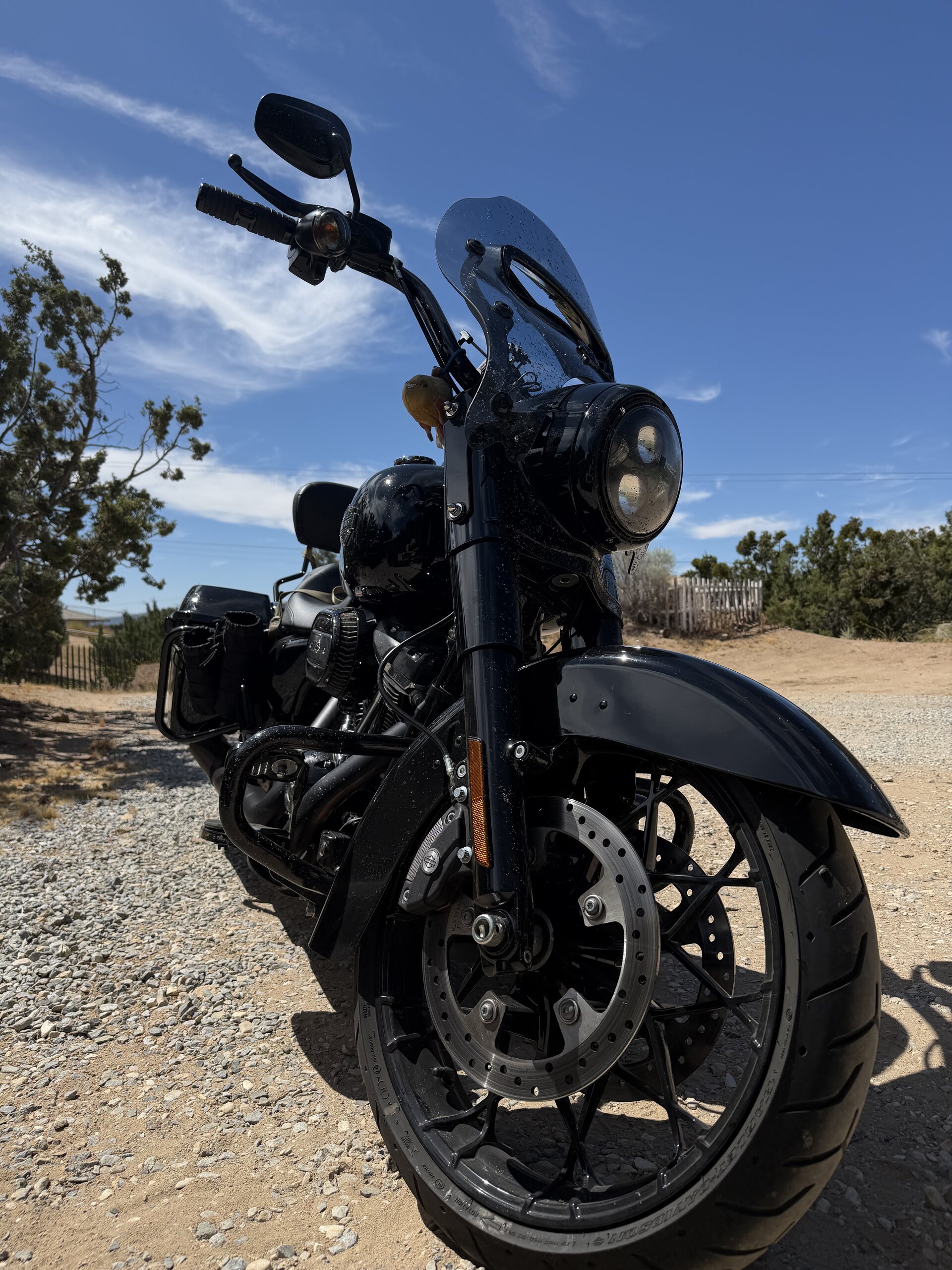 Road King adventure photo