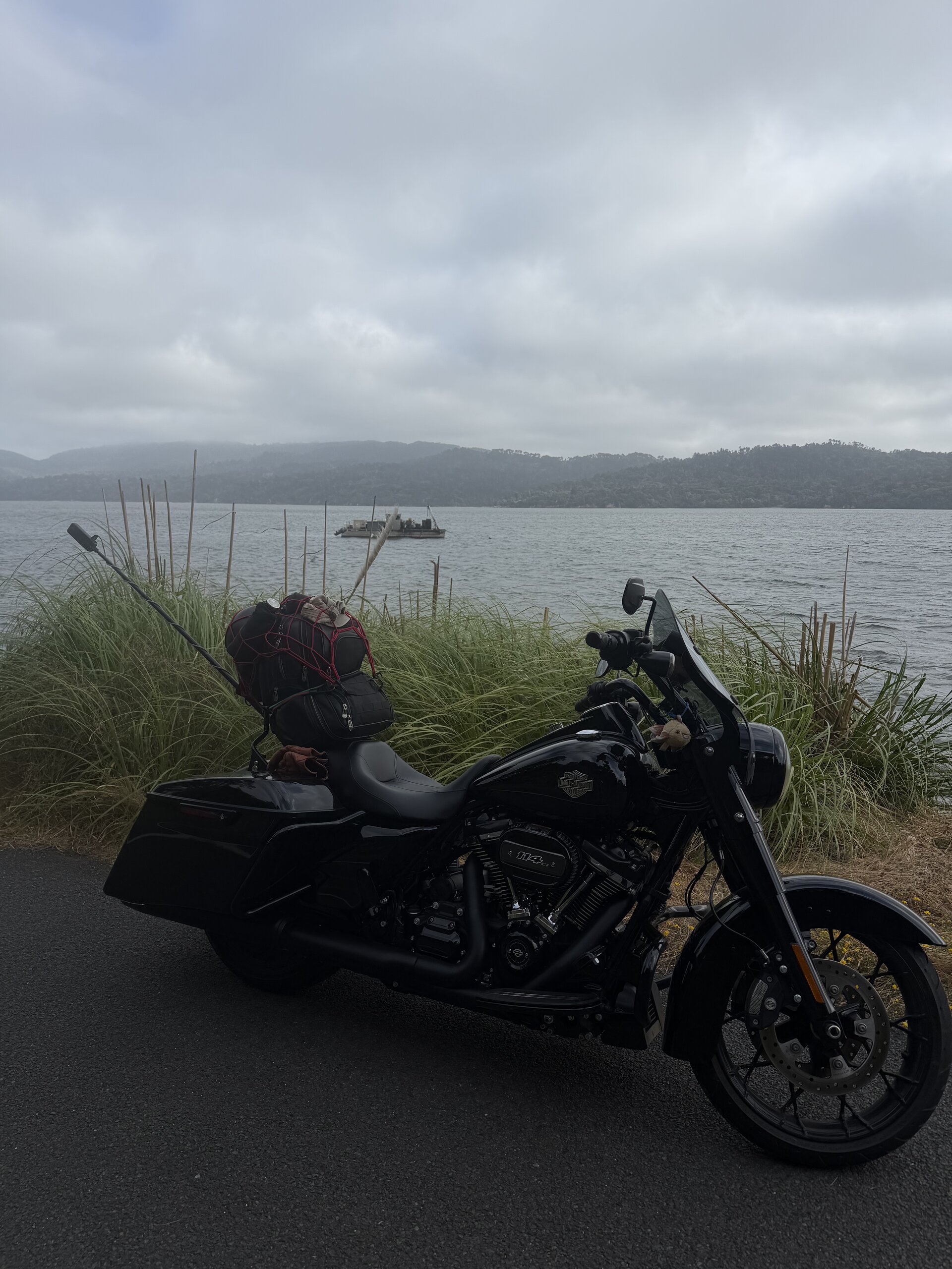 Road King adventure photo