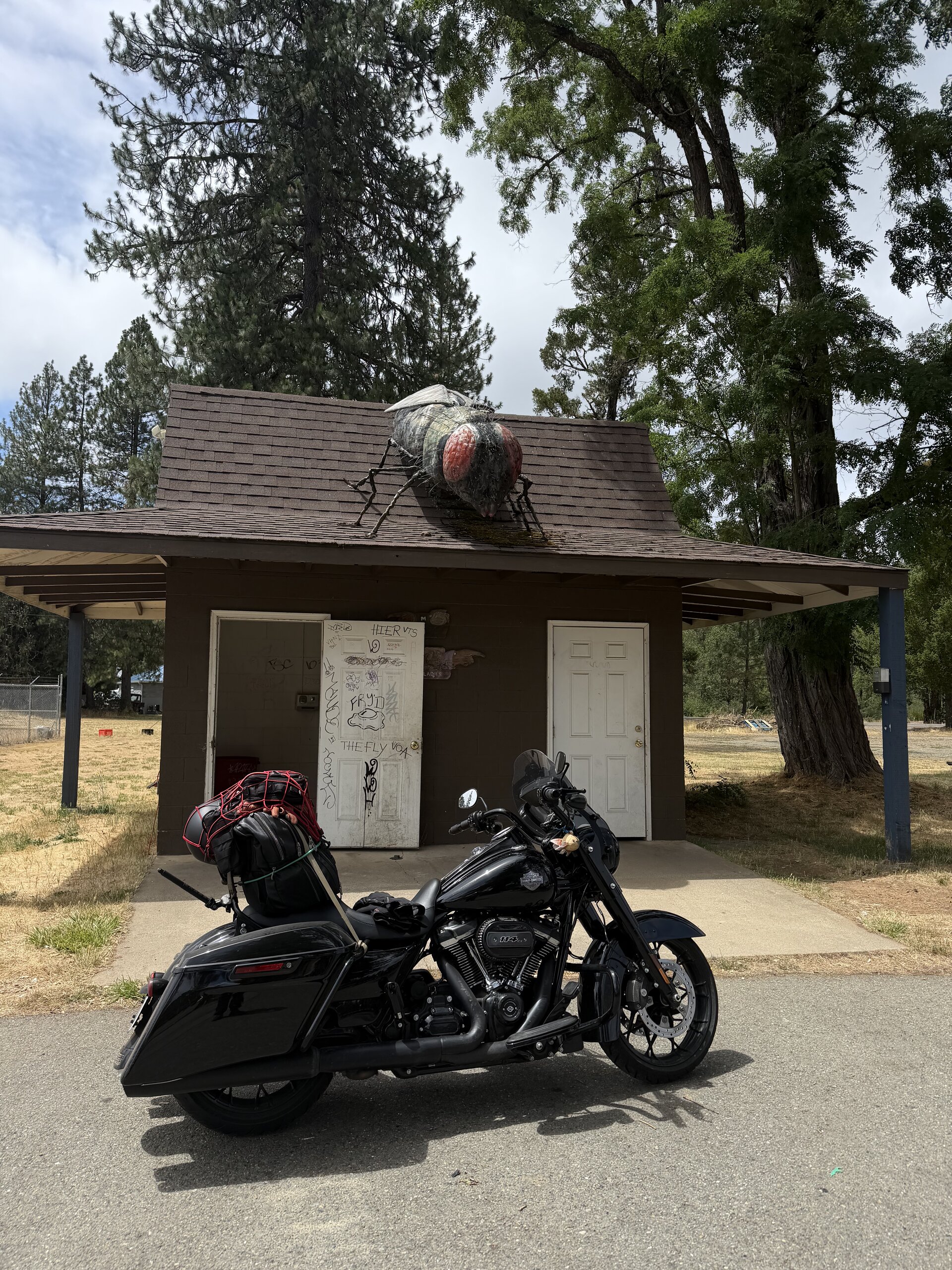 Road King adventure photo